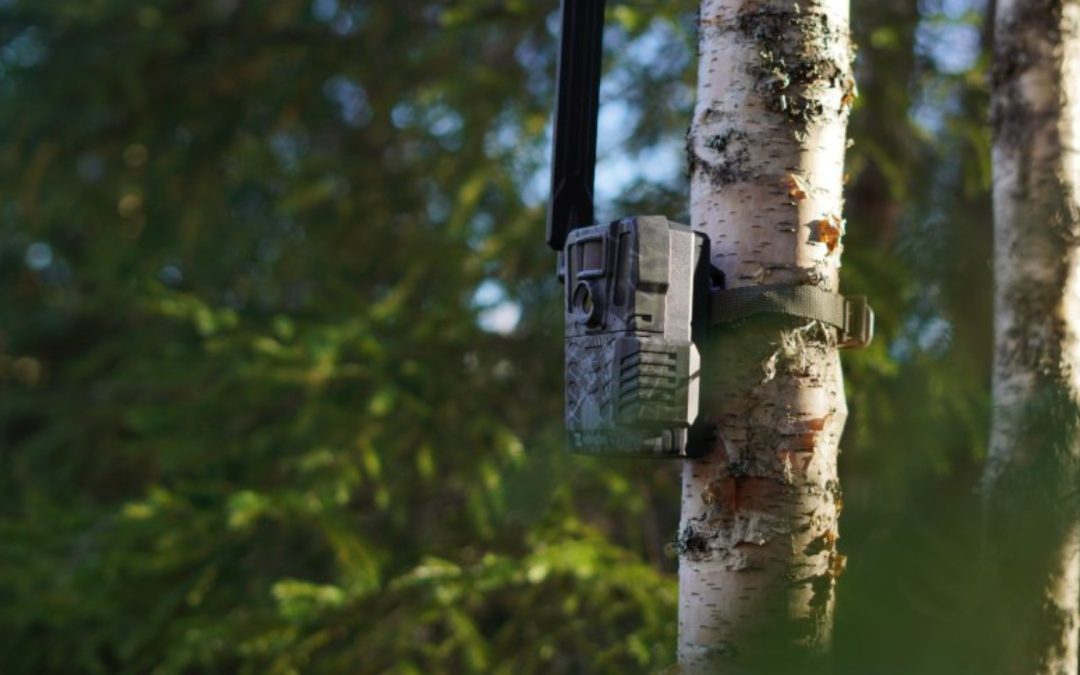 Fotopasca Hikmicro M15