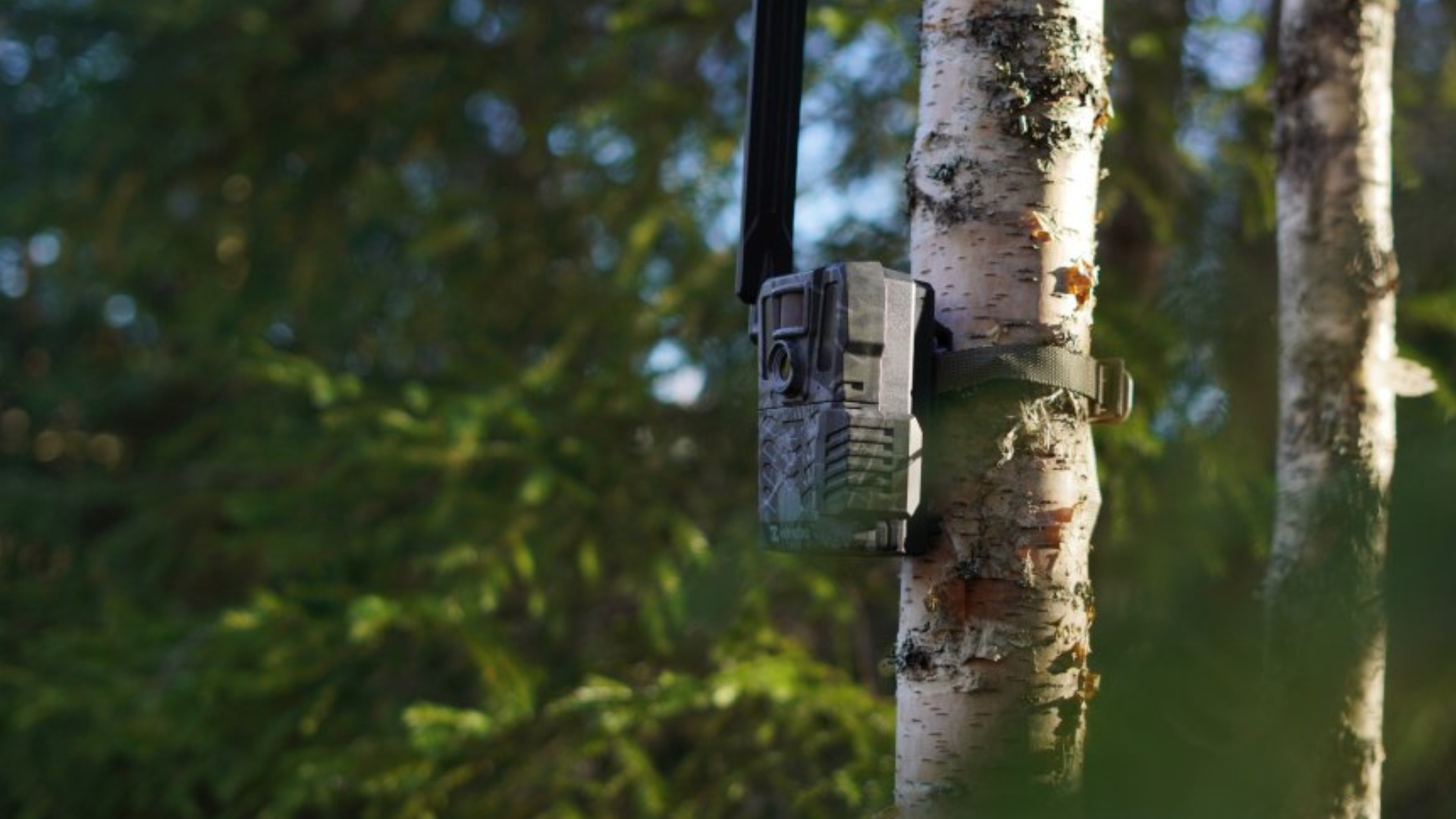 fotopasca-hikmicro-m15